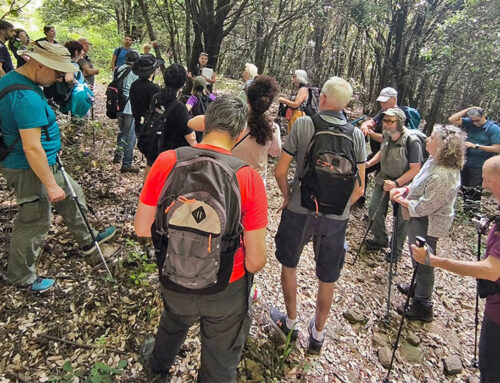 Libri in cammino – Cinque appuntamenti tra parole e natura